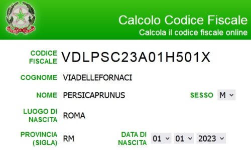 #VDLPSC23A01H501X